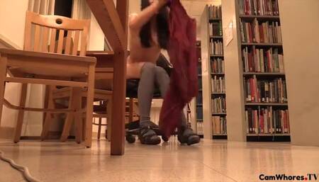 Jazz Kitten - Library (28931)