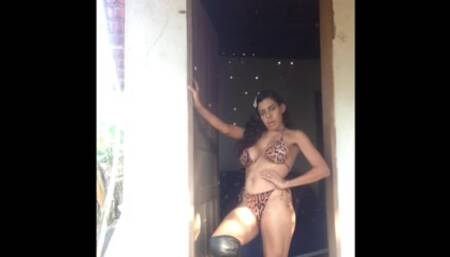 Animal Print - Carlabrazil