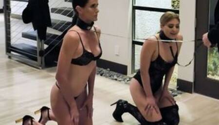 Obedient leashed MILFs served a big cock