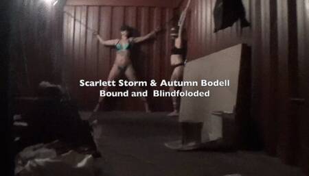 Bound and Blindfolded