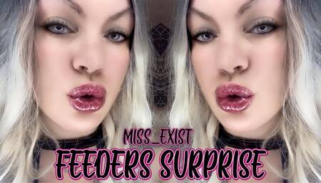 Feeder Surprise Audio