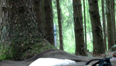 4th Session - Again in the woods - Clip 6