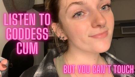 Listen To Goddess Cum… but you can’t touch