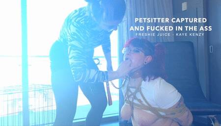 Petsitter Kaye Kenzy Caught and Fucked in the ASS by Freshie Juice