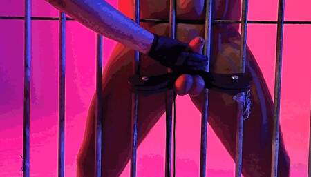 HARD PUNISHMENT - Spit on and to squeezed the balls