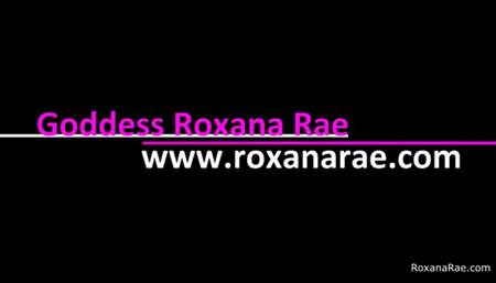 Roxy's Cock Sucking Slut