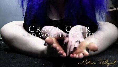 Crawl Over And Worship My Feet
