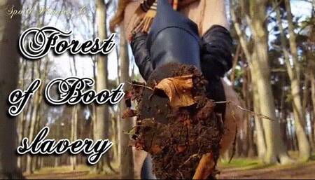 Forest of Boot slavery