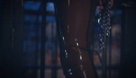 Welcome to your new life mutt