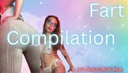 Daily Farts Compilation