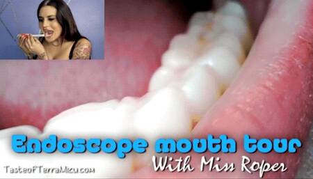 Endoscope Mouth Tour - Miss Roper - HD 720 WMV