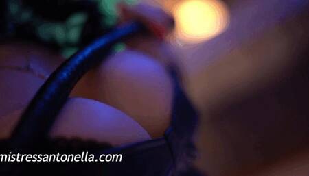 Mistress Antonella and her bullwhip