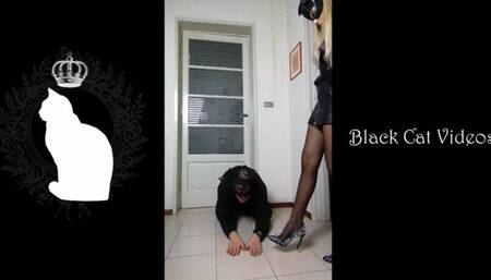 Hands trampling in studded shoes by Alice (fullbody version)