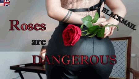 Blackmail - Roses are dangerous