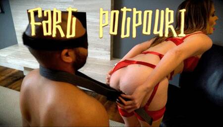 Fart Potpouri (HD 1080P MP4)
