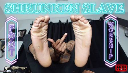 Feti Shrunken Slave-Tempo 720