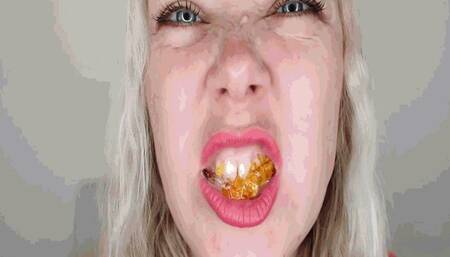 Sweet bears are in danger-2 AVI(1280*720)HD