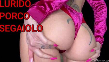 LURIDO PORCO SEGAIOLO