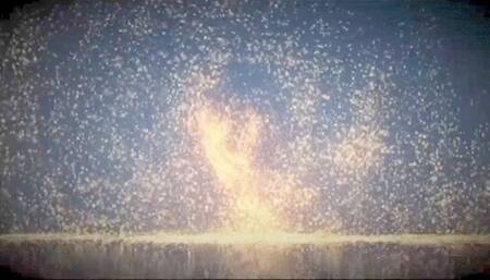 CBT instead of castration