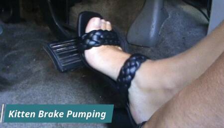 Kitten Brake Pumping