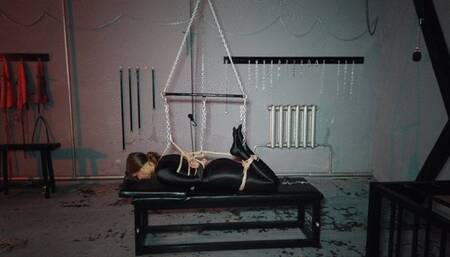 Real Suspensions by Wrapa