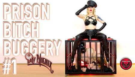 PRISON BITCH BUGGERY #1