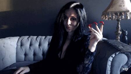 morning cigar feb 2023