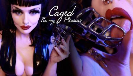 Caged for my Pleasure