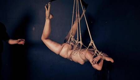 Humiliation smut with prurient Fae Corbin from Shadow Slaves