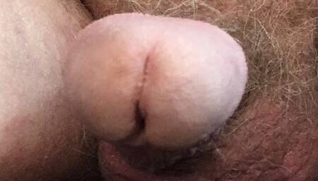 Clint Cumin- wheelchair bound slave in training