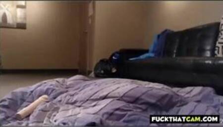 Webcam Chronicles 895