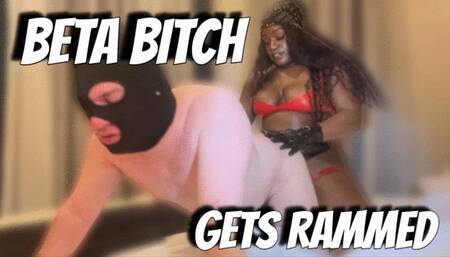 Beta Bitch gets ass rammed