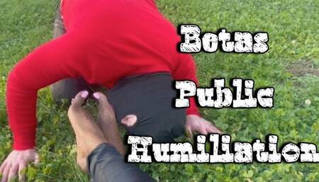 Pov Betas Public Humiliation