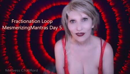 Mesmerizing Mantras Day 05 Fractionation Loop