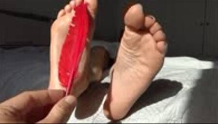 Feet tickling with a feather