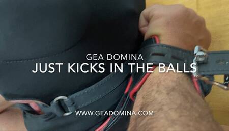 GEA DOMINA - JUST KICKS IN THE BALLS