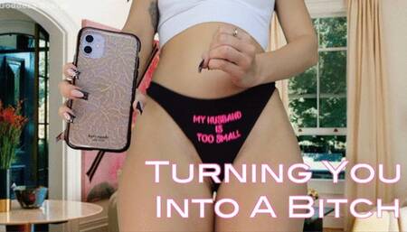 Turning you Into A Bitch
