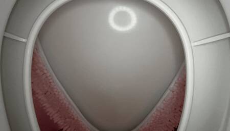 You Are Made To Be Personal Toilet Slave By Goddesses Melanie Hicks & Slyyy (SD 720p WMV)