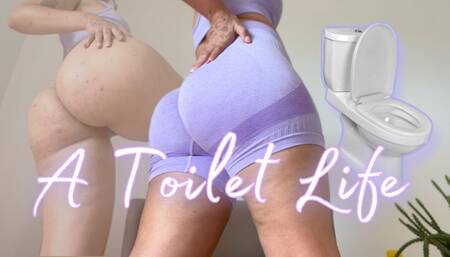 A Toilet Life