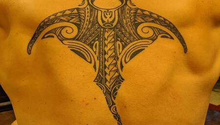 Anal dildo penetration. Small, medium, large, extra large dildos