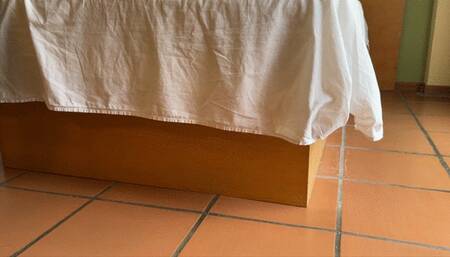 Dominated by the Fishnet Goddess by Milah and Katherine