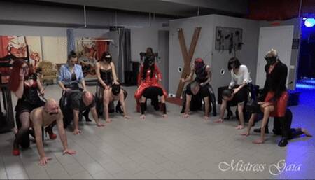 MISTRESS GAIA - PONY GATHERING - HD