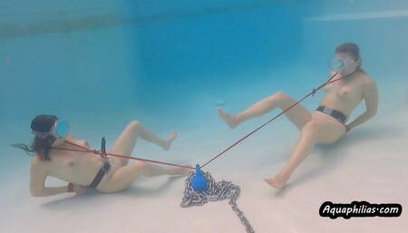 Aquaphilias- Indica Vika Underwater Tug of War- PERIL