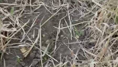 very muddy mac book trample in new rock boots