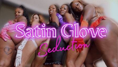 Luxury Dommes Satin Gloves Seduction