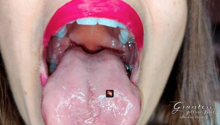 Red lipstick mouth tour