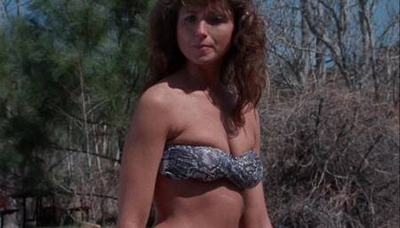 Chicks In The Office