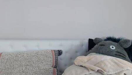 kati3kat nov 17 2018 3