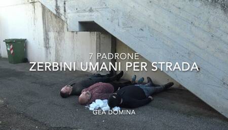 GEA DOMINA - 8 MISTRESS AND 4 HUMAN DOORMATS ON THE ROAD (MOBILE)