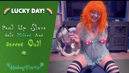 Lucky Day! Pent Up Slave Gets Milked AND Gassed Out!